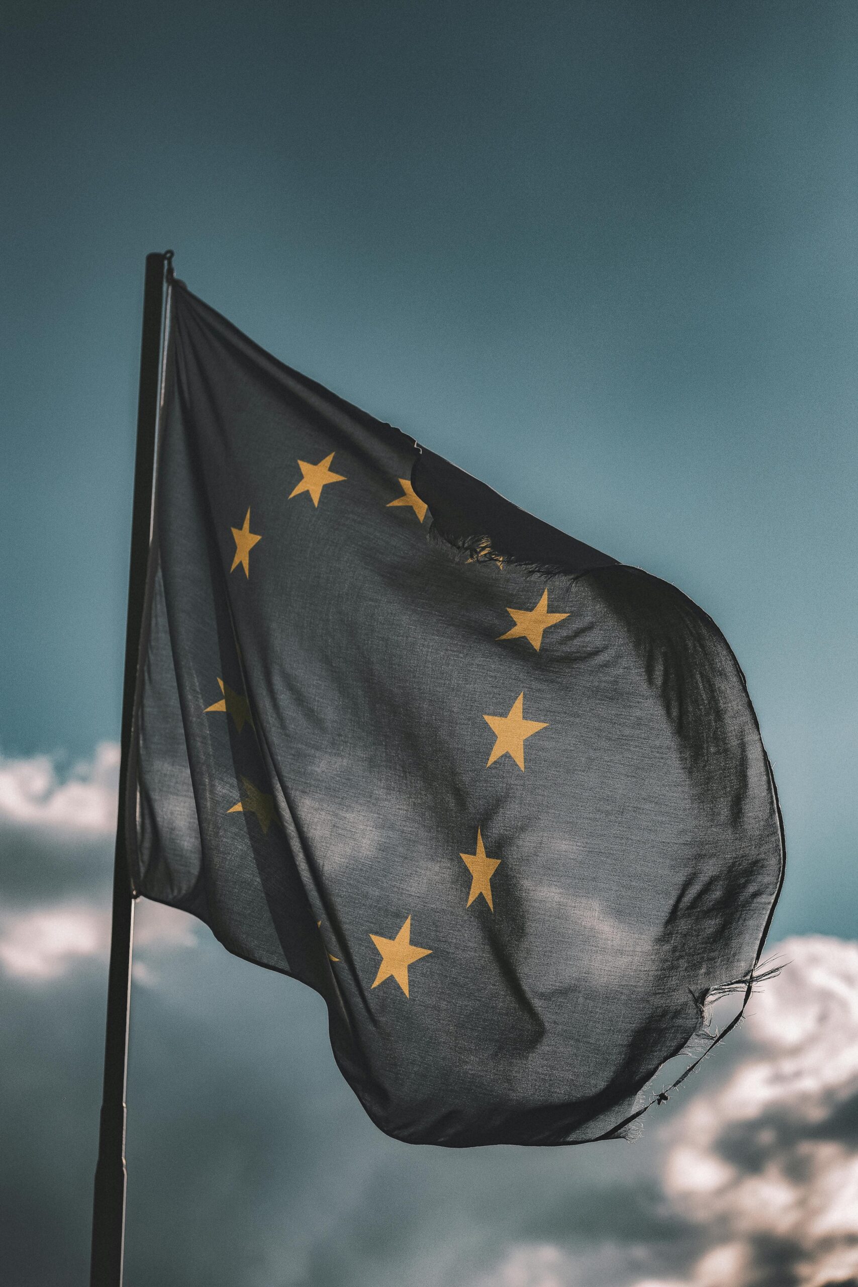 European Union flag gently waving on a flagpole against a cloudy sky, symbolizing unity and patriotism.